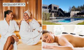 wellnessdag