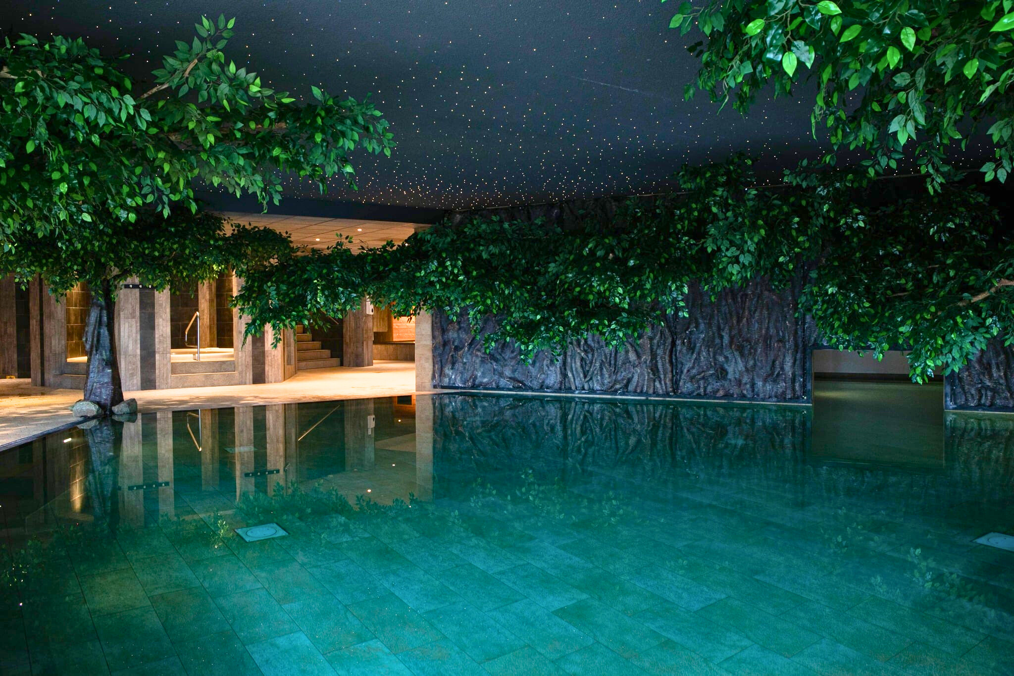 arrangement wellness