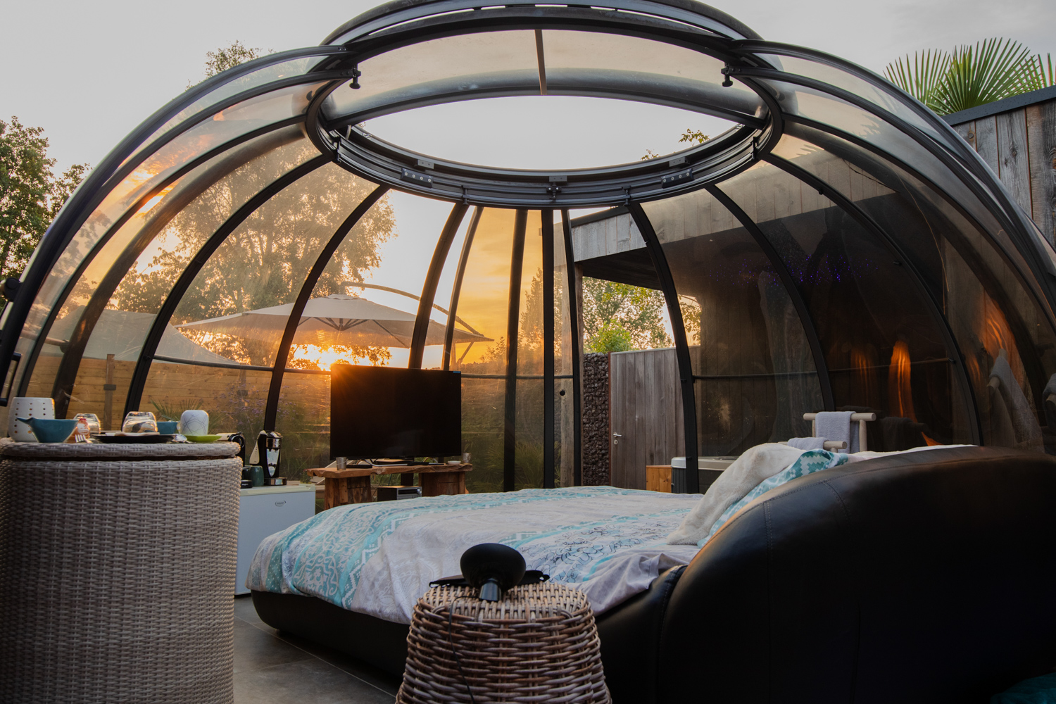 arrangement wellness