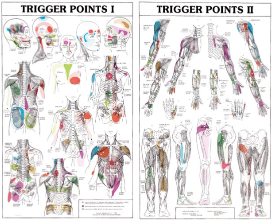triggerpoint massage